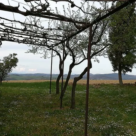 Agriturismo Colle Sant'Alfredo San Quirico d'Orcia
