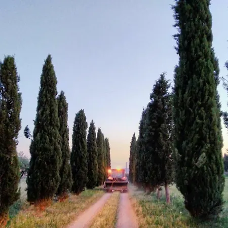 Agriturismo Colle Sant'Alfredo San Quirico d'Orcia